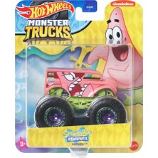 Hot Wheels Monster Trucks Gösteri Dünyası Temalı 1:24 Arabalar HWN77