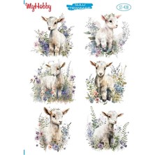 My Hobby St 438 Çoklu Kuzu, Soft Desenli Sulu Transfer 25X35