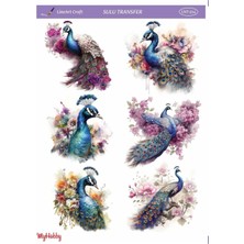 My Hobby Renkli, Tavuskuşu Desenli Sulu Transfer LNT-214 25X35