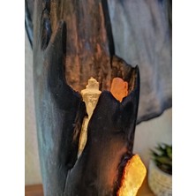 Mu Art N Craft Drıftwood LED Aydınlatmalı Ev Dekoru