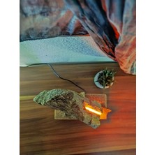 Mu Art N Craft Gneıss Kaya Aydınlatmalı Elyapımı Ev Dekoru