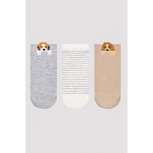 Penti Dog Detail Bej 3lü Patik Çorap