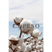 Capeso Cotton-Pamuk Oda Kokusu 250 ml Yedek Şişe