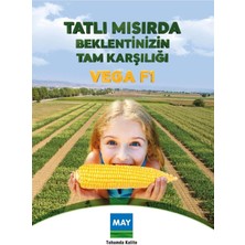 May Vega F1Tatlı Mısır Tohumu 10.000 Adet 2024 Üretim