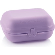 Tupperware Eco Büyük Taşıma Kabı Sorbet