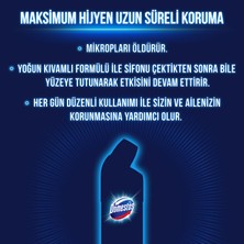 Domestos Çamaşır Suyu Dağ Esintisi 750ml x Domestos Çamaşır Suyu Kar Beyazı 750 ml + Sünger Hediye