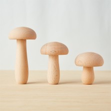 3'lü Sihirli Ahşap Mantar Seti