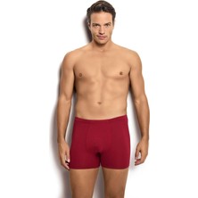 Jiber Erkek Bambu Bordo Boxer 278