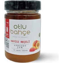 Otlu Bahçe Kayısı Reçeli 400 gr