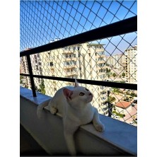 Kadir Tarım 2 x 5 Metre Kedi Koruma Filesi Balkon Filesi 2 mm Kedi Güvenlik Filesi Bebek Güvenlk Filesi