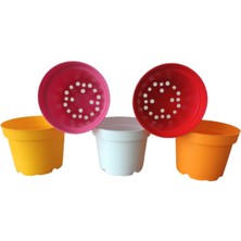 10 Adet 5 Renkli Plastik Saksı (10.5 CM.LİK) Alt Tabaksız