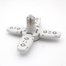 YCL LED