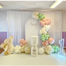 Eğlence Marketi Retro Pink Blush Kış Yeşili Deniz Kumu ve Beyaz Balon Zinciri 100 Adet