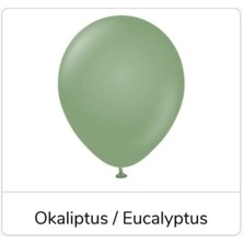 Eğlence Marketi 12 Inç Standart Boy Retro Balon 20 Adet Okaliptus