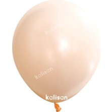 Eğlence Marketi 12 Inç Standart Boy Makaron Balon 10 Adet Somon