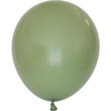 Eğlence Marketi 12 Inç Standart Boy Retro Balon 10 Adet Okaliptus