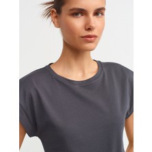 Dilvin 3504 Bisiklet Yaka Penye T-Shirt-Antrasit