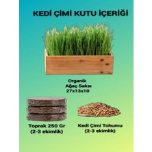 AR&MA WOOD Organik Kedi Çimi Seti (Tüy Yumağı Önleyici)