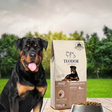 Teodor 15KG Rottweıler Adult Kuzu Etli ve Pirinçli %30 Protein Köpek Maması