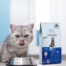 Teodor 15KG Adult Balıklı %26 Protein Kedi Maması