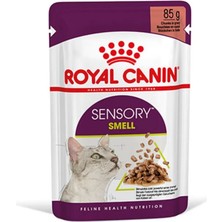 ROyuncakal Canin Sensory Smell In gravy Adult Kedi Konservesi 12X85 gr