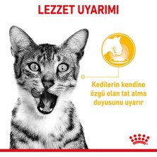 ROyuncakal Canin Sensory Taste In gravy Adult Kedi Konservesi 12X85 gr