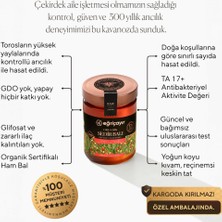 Eğriçayır Organik Sedir Balı 850 GR