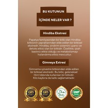 Vita Ceel Hindiba Ve Gimneya Detox Kahve 30x3gr