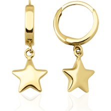 Fiyonk Kuyumculuk 14 Ayar Altın Tombul Yıldız Sallantılı Küpe