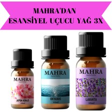 Mahra Japon Kiraz, Okyanus, Lavanta Esansiyel Uçucu Buhurdanlık Yağı Oda Kokusu 10 ml x 3