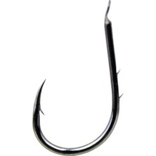 Kashima OP:0060 W-Kentsuki Chinu Ns No:3 8 Pcs