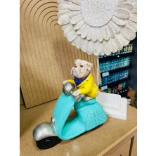 Renkli Fırça Renklifırça Motorcu Köpek Polyester Biblo Hediyelik