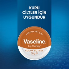 Vaseline Lip Therapy Yumuşatıcı Dudak Kremi Kakao Yağı 20 gr