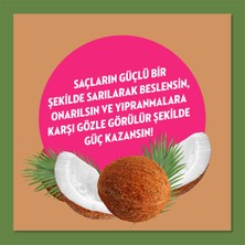 Elidor Doğanın Enerjisi Serum Saç Bakım Yağı Hindistan Cevizi Yağı Onarıcı ve Yıpranma Karşıtı 80 ml