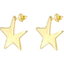 Shemora 925 Ayar Gümüş Yarı Taşlı Yıldız Küpe