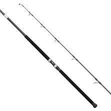 Apia Grandage Atlas C-Safari 99MAX 2.97M Plug 180GR - Jig 200GR Shore Jig Kamış