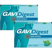 Gavi Gavidigest Nane Aromalı 12'li Pastil - Şekersiz - 2 Adet