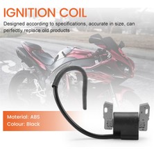 Internet Briggs & Stratton Için Otomobil Parçaları Ateşleme Bobini 492341 490586 495859 491312 715231 690248 591459 799650 Stens 440-433 (Yurt Dışından)