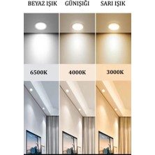 Eray Aydınlatma 1601-3 LED Gold Avize(Beyaz Işık -Sarı Işık - Gün Işığı)