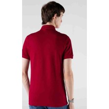 Lacoste Polo Paris Bordo Regular Fit