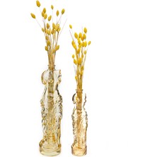 Missi 2li Amber Rengi Cam Venüs Vazo Seti