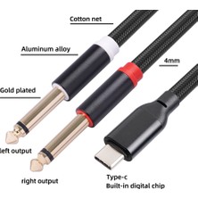 Remedy USB C - Çift 6,35MM Stereo Y Ayırıcı Kablo, Trs Ses Kablosu (Yurt Dışından)