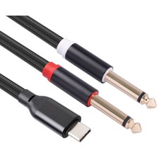 Remedy USB C - Çift 6,35MM Stereo Y Ayırıcı Kablo, Trs Ses Kablosu (Yurt Dışından)