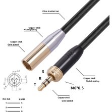 Remedy Iç Dişli 3.5mm Erkek - Mını Xlr 3pın Adaptör Kablosu (Yurt Dışından)