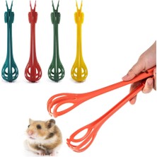 Pengfu Shop Sarı Tarzı 1 Adet Hamster Klip Anti-Isırık Uzun Saplı Temizleme Klipsi Hamster Gine Domuzları Altın Ayı Küçük Evcil Hayvan Aksesuarları (Yurt Dışından)