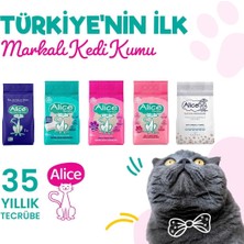 Alice Kartopu Kalın ve Beyaz Taneli Pudra Kokulu Kedi Kumu 3X10 Lt.