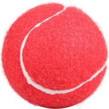 Chaoduo Shop Blcck 4 Adet Tarzı 4 Adet Eğitim Yarışması Tenis Yetişkin Gençlik Eğitimi Tenis Topu Özelleştirilmiş (Yurt Dışından)