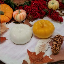 By Hobi Yap Gerçek Doku Küçük Boy Balkabağı Silikon Mum Kalıbı