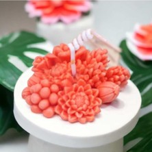 By Hobi Yap Sukulent Demeti Silikon Mum Kalıbı No: 1