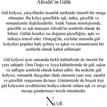 Neat Atelier Afrodit’in Gülü Kadın Çelik Kolye